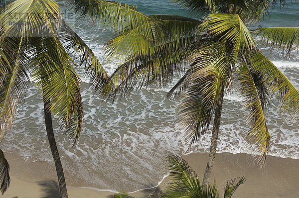 Strand  Hotel  Karibik  Ansicht  Erhöhte Ansicht  Aufsicht  heben  Grenada  Hauptstadt