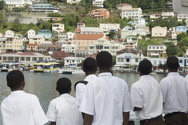 Fischereihafen  Fischerhafen  Fischadler  Pandion haliaetus  Bewunderung  Fähre  Karibik  Grenada  Hauptstadt