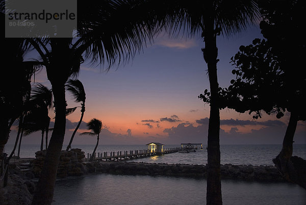 Vereinigte Staaten von Amerika  USA  über  Sonnenaufgang  Boot  Dock  Kai  Islamorada  Florida  Florida Keys