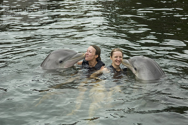 Vereinigte Staaten von Amerika  USA  Delphin  Delphinus delphis  Frau  unterrichten  Säugetier  jung  schwimmen  Personal  Dalbe  Florida  Florida Keys  Key Largo  Forschung