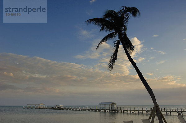 Vereinigte Staaten von Amerika  USA  über  Sonnenaufgang  Boot  Dock  Kai  Islamorada  Florida  Florida Keys