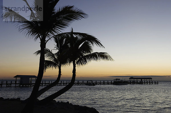 Vereinigte Staaten von Amerika  USA  über  Sonnenaufgang  Boot  Dock  Kai  Islamorada  Florida  Florida Keys