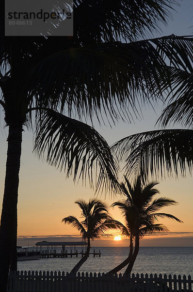 Vereinigte Staaten von Amerika  USA  über  Sonnenaufgang  Boot  Dock  Kai  Islamorada  Florida  Florida Keys