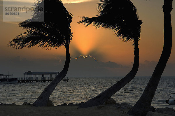 Vereinigte Staaten von Amerika  USA  über  Sonnenaufgang  Boot  Dock  Kai  Islamorada  Florida  Florida Keys