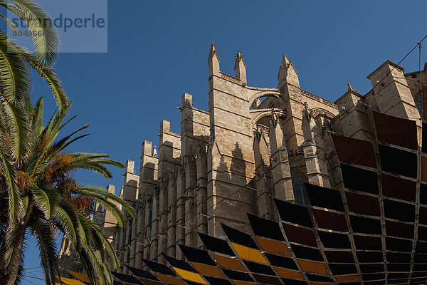 Dach  hoch  oben  sehen  Kathedrale  Außenaufnahme  Palma de Mallorca  Mallorca  Spanien