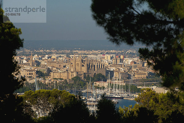 Hafen  Kathedrale  Ansicht  Palma de Mallorca  Mallorca  Spanien