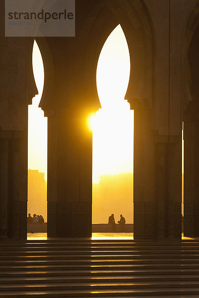 sehen  Brücke  blättern  Casablanca  Abenddämmerung  Marokko  Moschee