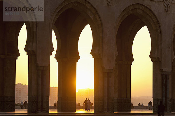 sehen  Brücke  blättern  Casablanca  Abenddämmerung  Marokko  Moschee