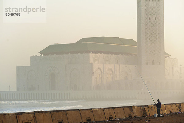 Mann  Wand  Morgendämmerung  Meer  frontal  angeln  Casablanca  Marokko  Moschee