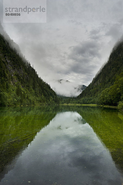 nahe  Spiegelung  See  Bayern  Deutschland  Reflections