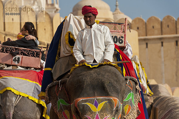 hoch  oben  gehen  Weg  Elefant  Festung  Bernstein  Indien  Jaipur  Rajasthan