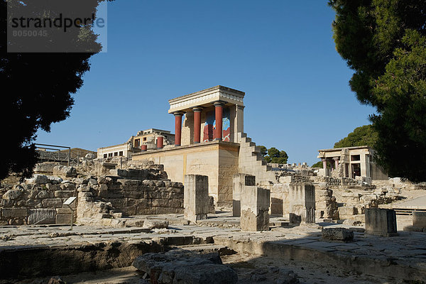 Bulle  Stier  Stiere  Bullen  Ruine  Hilfe  Kreta  Griechenland  Knossos