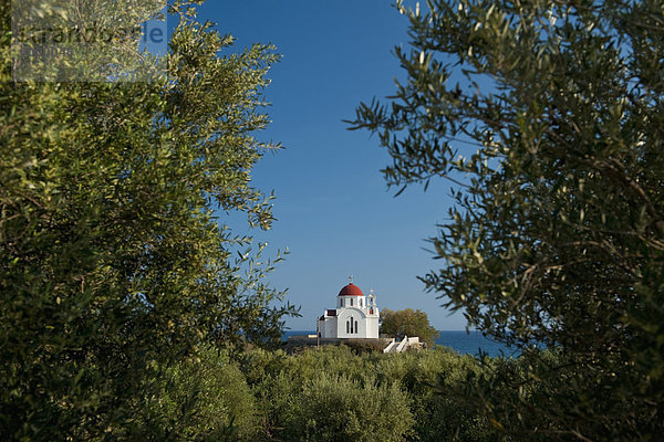 nahe  sehen  klein  Kirche  blättern  Olive  Kreta  Griechenland  Hain