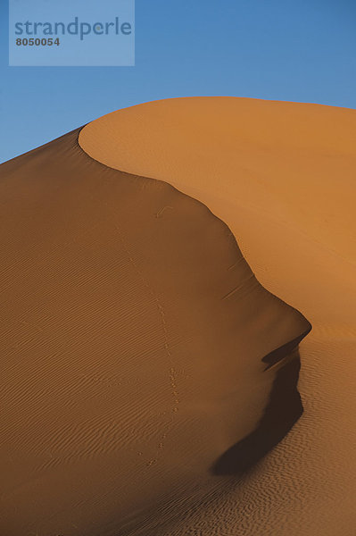 nahe  Wüste  Sand  Düne  Sahara  Merzouga  Marokko