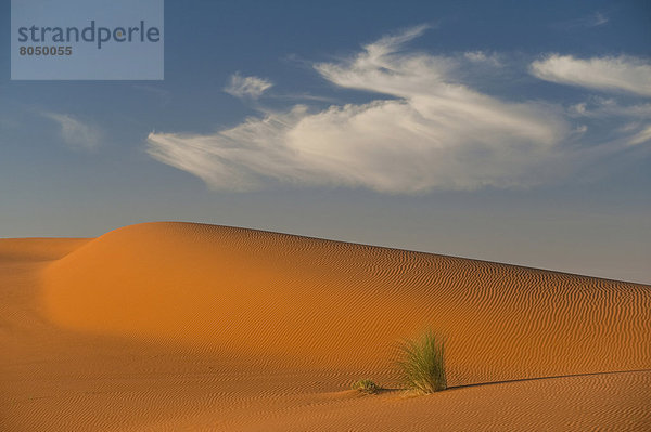 nahe  Wüste  Sand  Düne  Sahara  Merzouga  Marokko