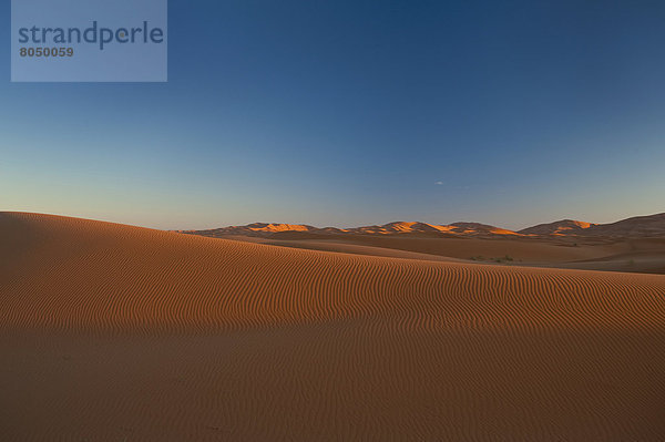 nahe  Morgendämmerung  Wüste  Sand  Düne  Sahara  Merzouga  Marokko