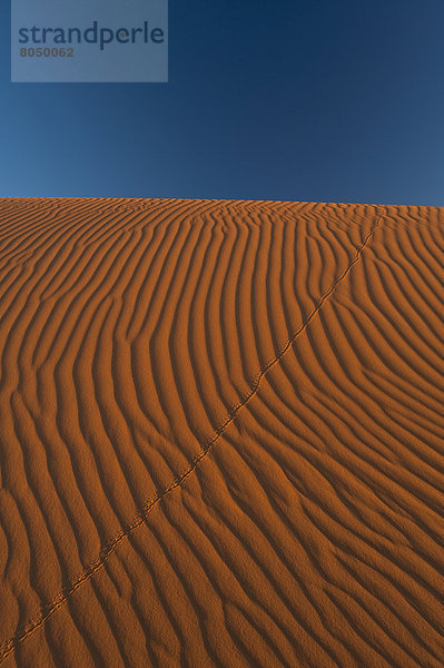 nahe  Wüste  Sand  Düne  Sahara  Merzouga  Marokko