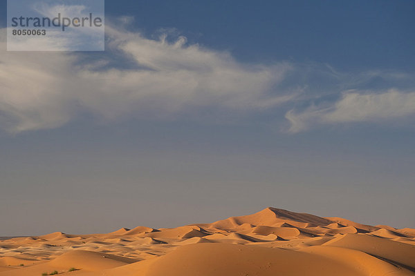 nahe  Wüste  Sand  Düne  Sahara  Merzouga  Marokko