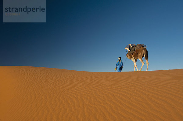 nahe  führen  Wüste  Sand  Düne  Sahara  Berber  Kamel  Merzouga  Marokko