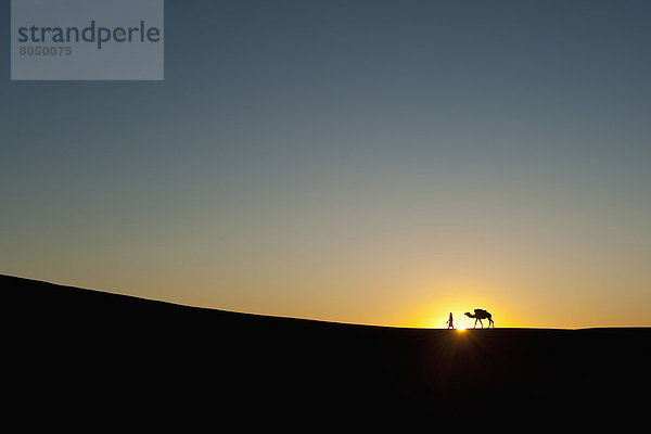 nahe  führen  Mann  Silhouette  Sand  blau  Düne  Berber  Kamel  Abenddämmerung  Merzouga  Marokko
