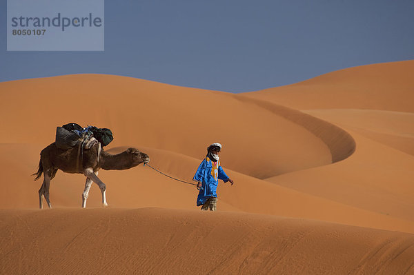 nahe  führen  Mann  Sand  blau  Düne  Berber  Kamel  Merzouga  Marokko