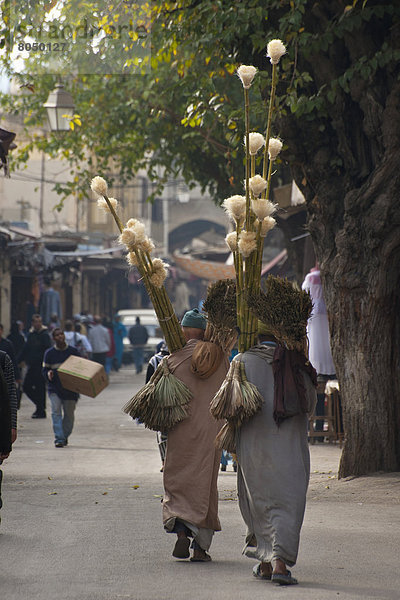 Fès  Fez  Fes  Marokko