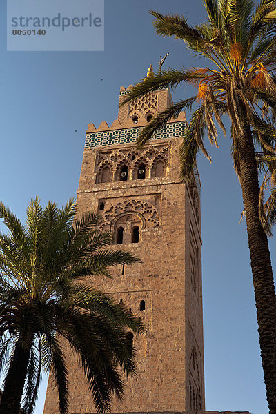 sehen  Morgendämmerung  blättern  Verabredung  Marrakesch  Minarett  Marokko  Moschee