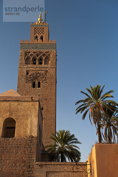 Morgendämmerung  Koutoubia-Moschee  Marrakesch  Minarett  Marokko  Moschee