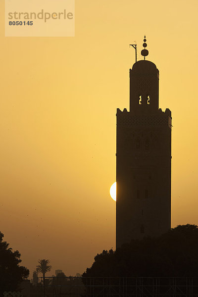 hinter  Tischset  Koutoubia-Moschee  Marrakesch  Minarett  Marokko  Moschee  Sonne