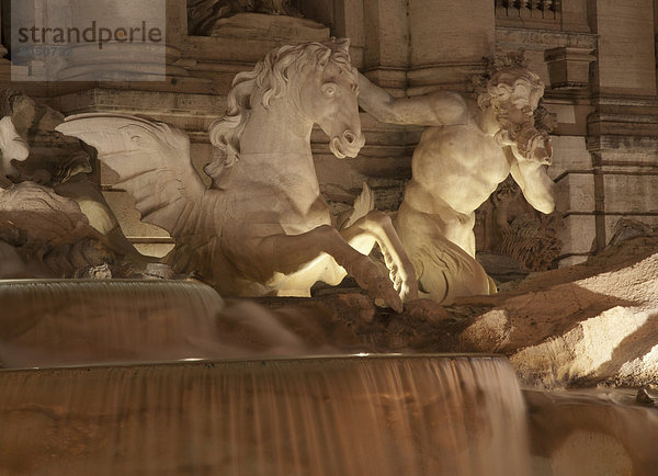 Führung Anleitung führen führt führend Springbrunnen Brunnen Fontäne Fontänen Rom Hauptstadt Seepferdchen hippocampus taeniopterus Nacht Statue Zierbrunnen Brunnen Italien Trevi