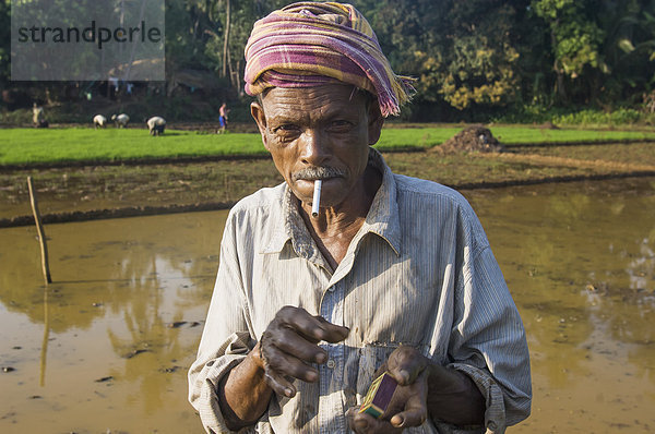 beleuchtet  Portrait  arbeiten  Zigarette  Feld  Indien  Karnataka