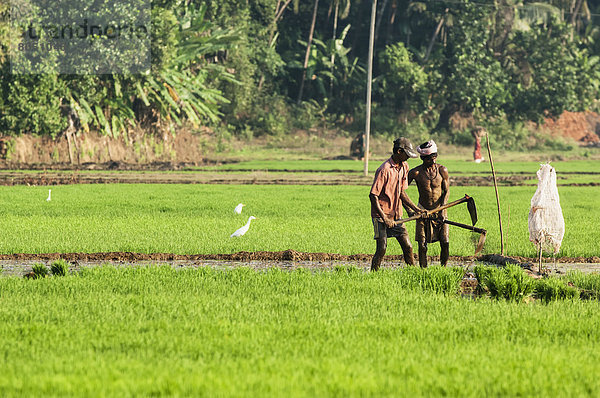 Indien  Karnataka