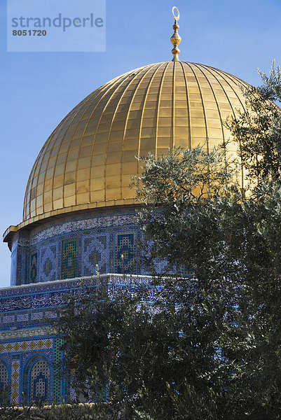 Kuppel des Rock  Altstadt  Jerusalem  Israel