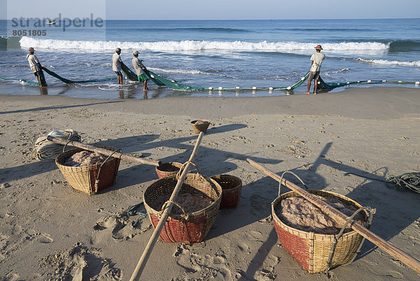 Shrimps  Garnele  klein  Netz  angeln  Myanmar  Gambas  Riesengarnele