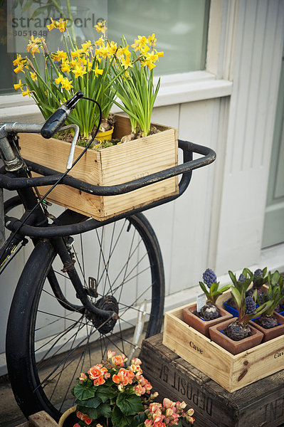 Vintages Fahrrad mit Blumen in Bermondsey  London  England  Großbritannien