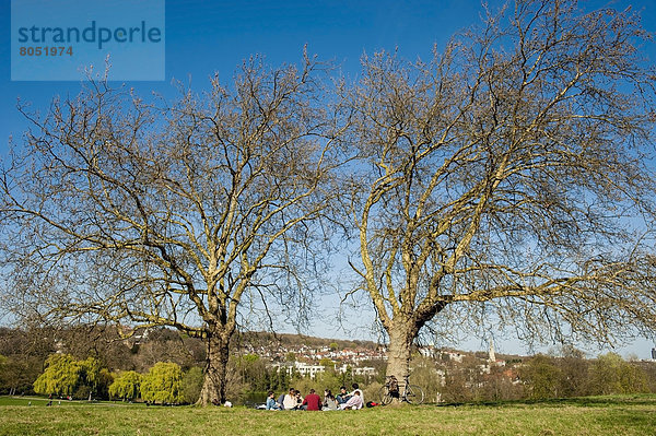 Fröhlichkeit  Mensch  Menschen  Großbritannien  Hügel  London  Hauptstadt  England  Primel  Sonne