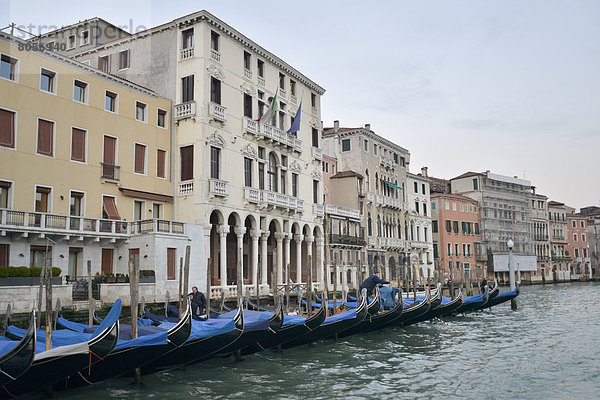 Canale Grande und Gondeln  Venedig  Italien  Europa