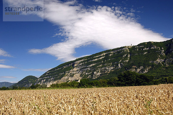 Berg  französisch  Landwirtschaft  Feld  Hafer  Boden  Fußboden  Fußböden