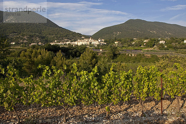 Wein Wachstum Dorf Weinberg Zimmer Provence - Alpes-Cote d Azur Rhone