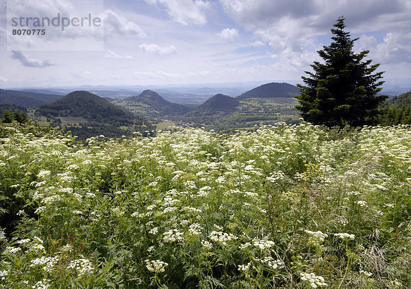 Landschaft  Heiligtum  Zimmer  Richtung  Geographie  puy Linsen  Auvergne  Genf  Wallfahrt  Weg