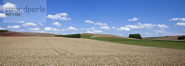 Feuerwehr  Sommer  Landschaft  Landwirtschaft  Lothringen