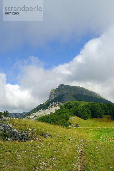 Landscape of the Vercors Massif  west side  near the Ambel Plateau (26)