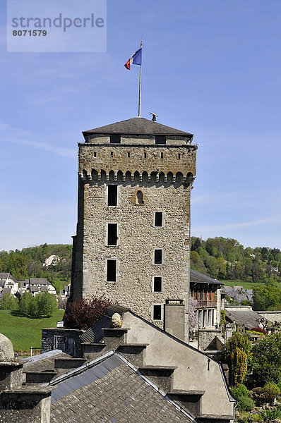 Mittelalter  Berg  Festung  Lourdes  Pyrenäen  Weg