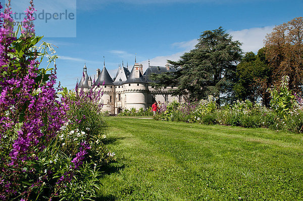 Blume  Garten  Mittelpunkt  Globalisierung  Festival  Laub  Loire