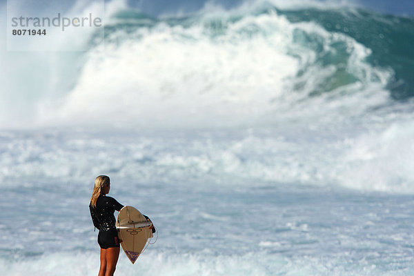 blond Kleidung sehen Surfboard Wellenreiten surfen schwarz jung Haar gebräunt braun