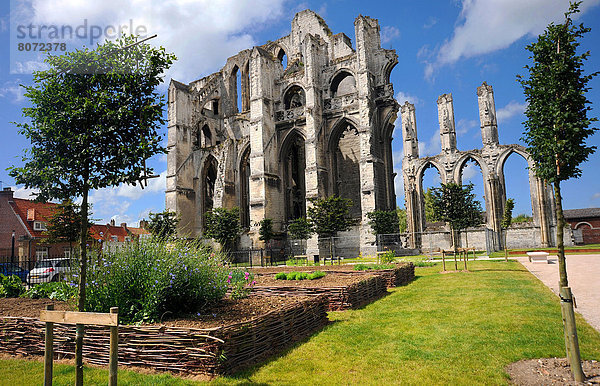 Ruine  Abtei