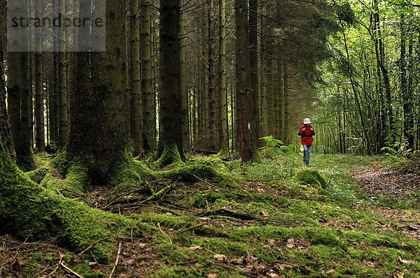 Frankreich  Frau  Baum  Wald  Boden  Fußboden  Fußböden  wandern  Mittelpunkt  Kiefer  Pinus sylvestris  Kiefern  Föhren  Pinie  Baumstamm  Stamm  Dorn  Weg
