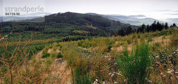 Berg  Landschaft  Wald  Heiligtum  Richtung  sprechen  Geographie  puy Linsen  Weg