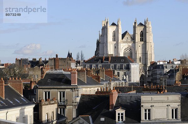 Kathedrale  Heiligtum  Nantes  Pierre