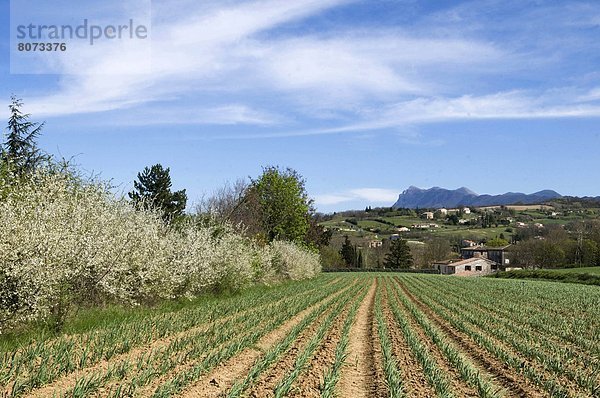 Ländliches Motiv  ländliche Motive  Berg  Feld  Landschaft  Tal  entfernt  3  Drome  Bergmassiv